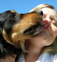 Dog and Guardian